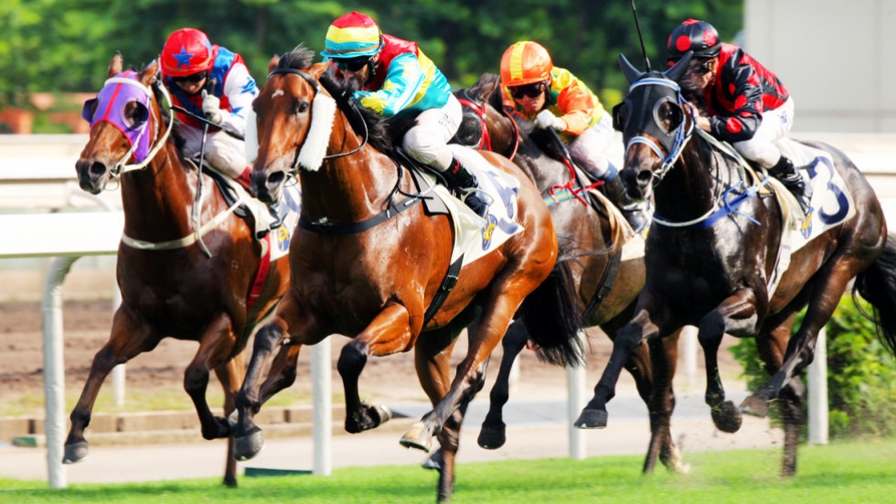China’s interest on horse racing makes New Zealand to win