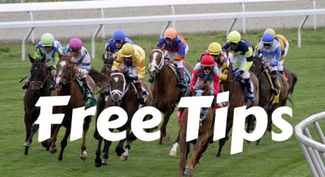 Horse Bet Tips