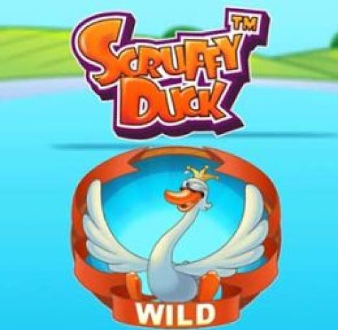 Scruffy Duck Slot Machine
