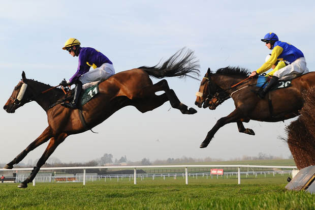 horse racing in Cheltenham