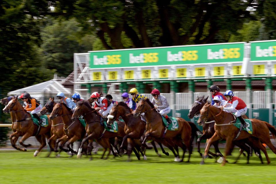 Horse Racing Tips