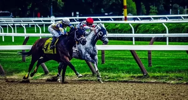 Horse Racing Hedge Betting