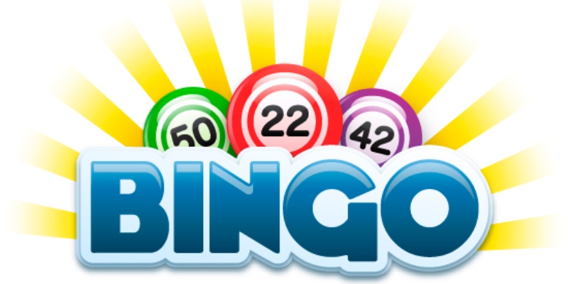 Why Online Bingo Is So Popular
