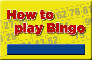 how to Play Bingo