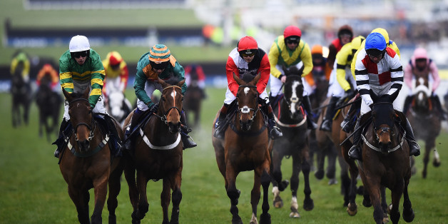 Horse racing business counts £150m charge of equine flu with Cheltenham festival weeks away