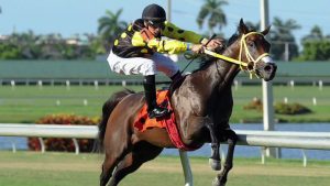 Horse Racing 2019