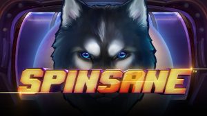Go on the Prowl with Spinsane Slots