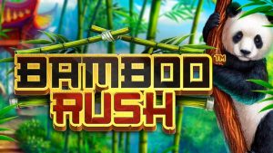 Bamboo Rush Slot Game Review