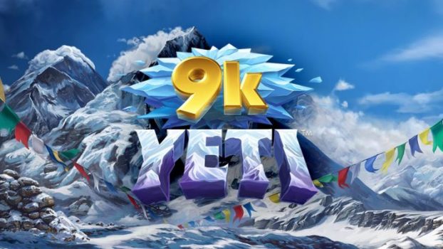 9K Yeti Game Review