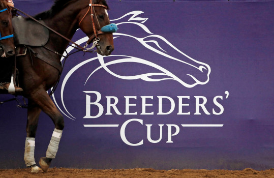 Line of Duty Suffers Fatal Injury Ahead Of Breeders’ Cup