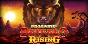 Buffalo Rising Megaways All Action Game Review