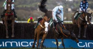 Cheltenham Horse Racing Review