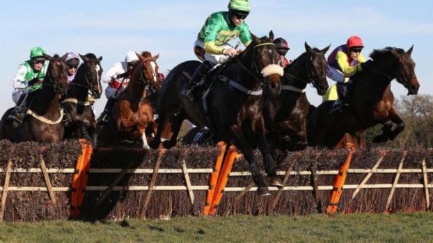 Horse Racing Betting Tips - A Guide to Betting on Horse Racing