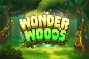 Wonder Woods Game Review