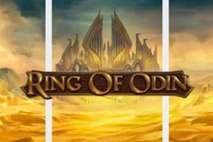 Ring of Odin Casino Game Review