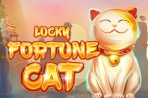 Lucky Fortune Cat Casino Game Review