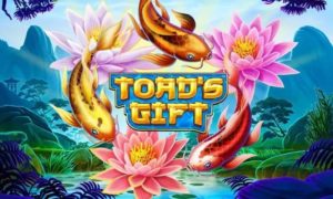 Toad's Gift Casino Game Review