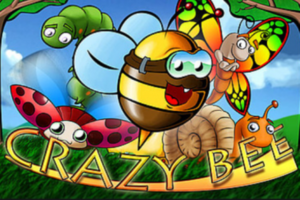 Crazy Bee Slot Review