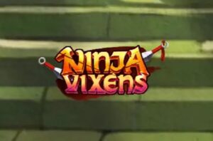 Ninja Vixens Slot Review