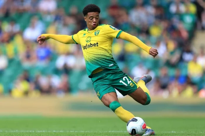 Norwich City vs Brighton and Hove Albion Betting Review- 16th October