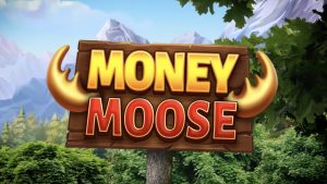 Money Moose Slot Review