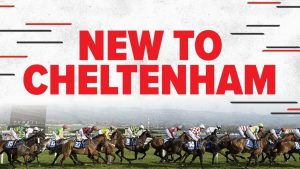 Beginners' guide to Cheltenham Festival horse racing