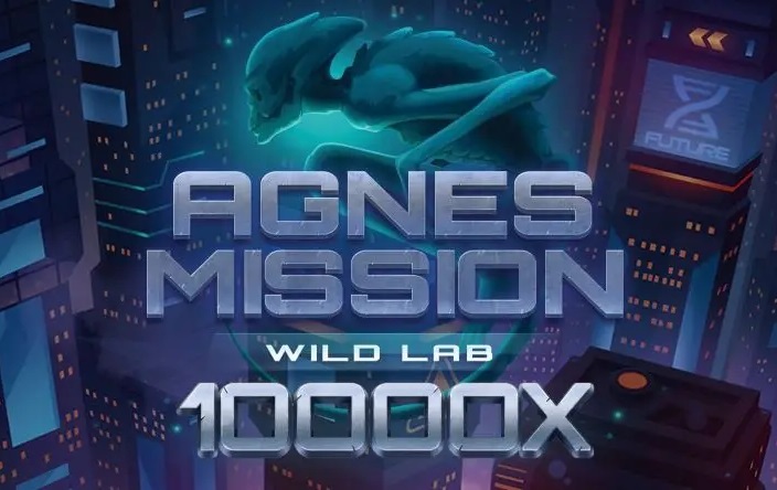 Agnes Mission Wild Overview