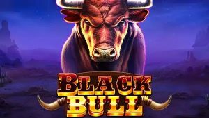 Black Bull Slot Machine Review
