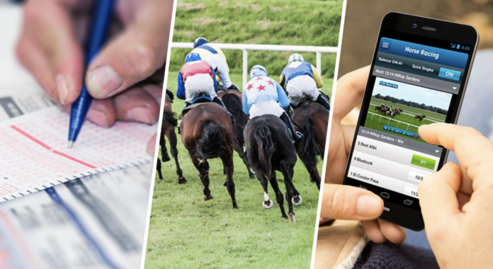 Is it Profitable to Bet on Horse Racing?