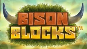 Bison Blocks Slot Review